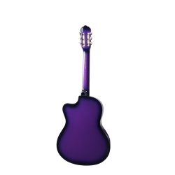 CG-3901PRS Klasik Gitar 4/4 Sap Ayarlı Kesik Kasa Full Set