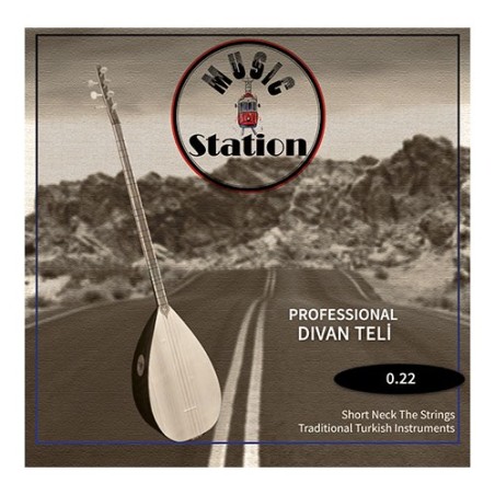 MSC-022 DİVAN BAĞLAMA TELİ