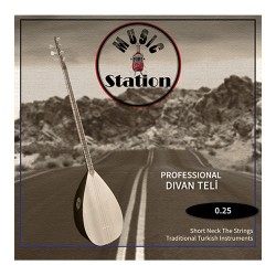 MSC-025 DİVAN BAĞLAMA TELİ 