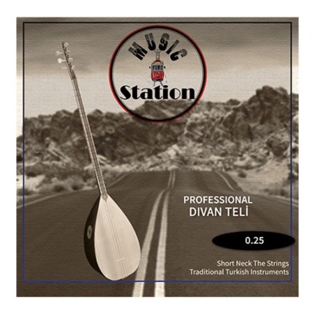 MSC-025 DİVAN BAĞLAMA TELİ 