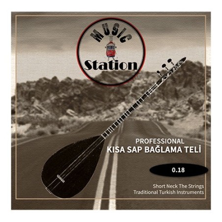 MSC-018 KISA SAP ÇELİK BAĞLAMA TELİ