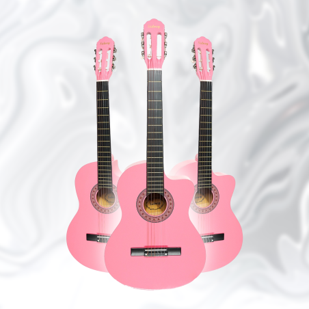 SİDNEY KESİK KASA KLASİK GİTAR SC-3900PK