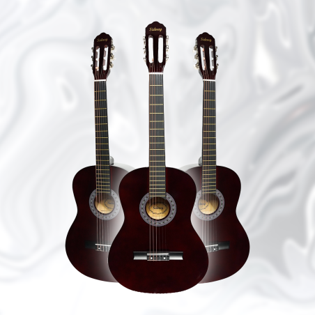 SD-3900CF SİDNEY KLASİK GİTAR